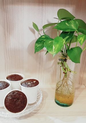 عکسی از دستور کاپ کیک شکلاتی