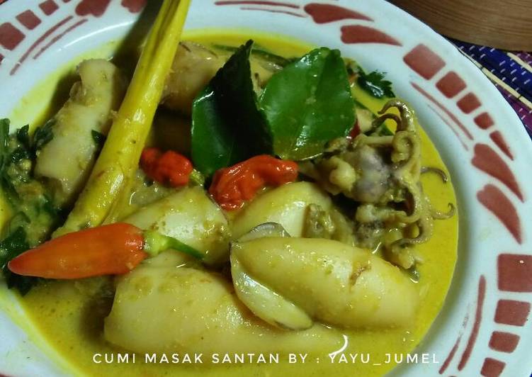 Resep Cumi masak santan 🐙🍲🌴, Bisa Manjain Lidah