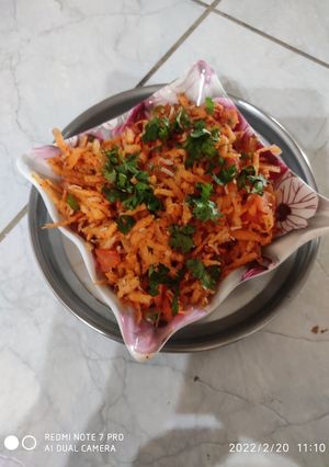સલાડ (Salad Recipe In Gujarati) રેસીપી મુખ્ય ફોટો