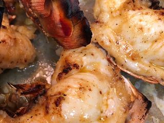 Broiled Lobster Tails