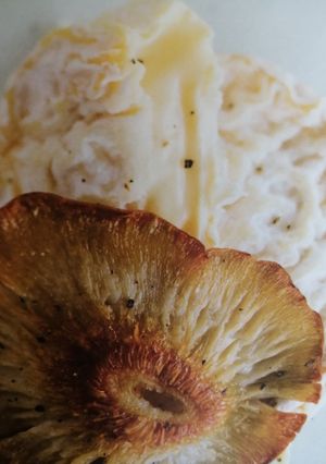 Une photo de Saint-Marcellin, Chips de Pleurotes