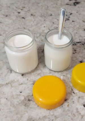 Foto principal de Yogur casero 🥛 en el horno