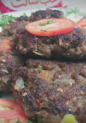 A picture of Chapli kabab.