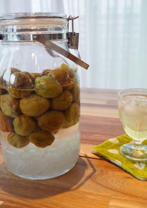 A picture of Ume syrup - Japanese plum syrup (plum juice base).