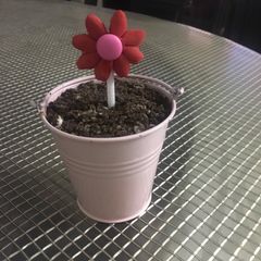 Garden sapling dessert A picture of Garden sapling dessert.