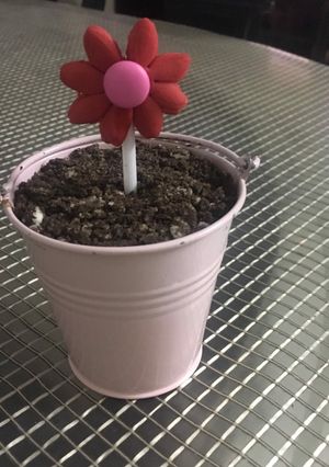 A picture of Garden sapling dessert.