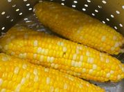 A picture of boiled sweetcorn