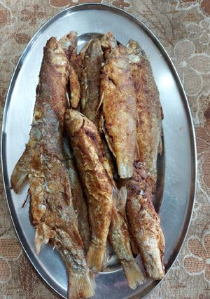 صورة لوصفة سمك زوري مقرمش 🐟 🍽