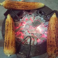 A picture of Raseted maize.