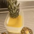 Sorbetto all'Ananas