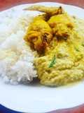 Segundo de tarwi con pollo