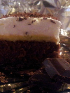 A picture of ice cream cake.