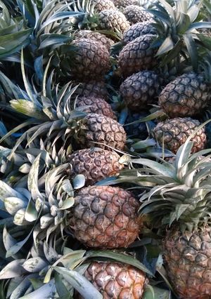 Foto resep Selai nanas homemade