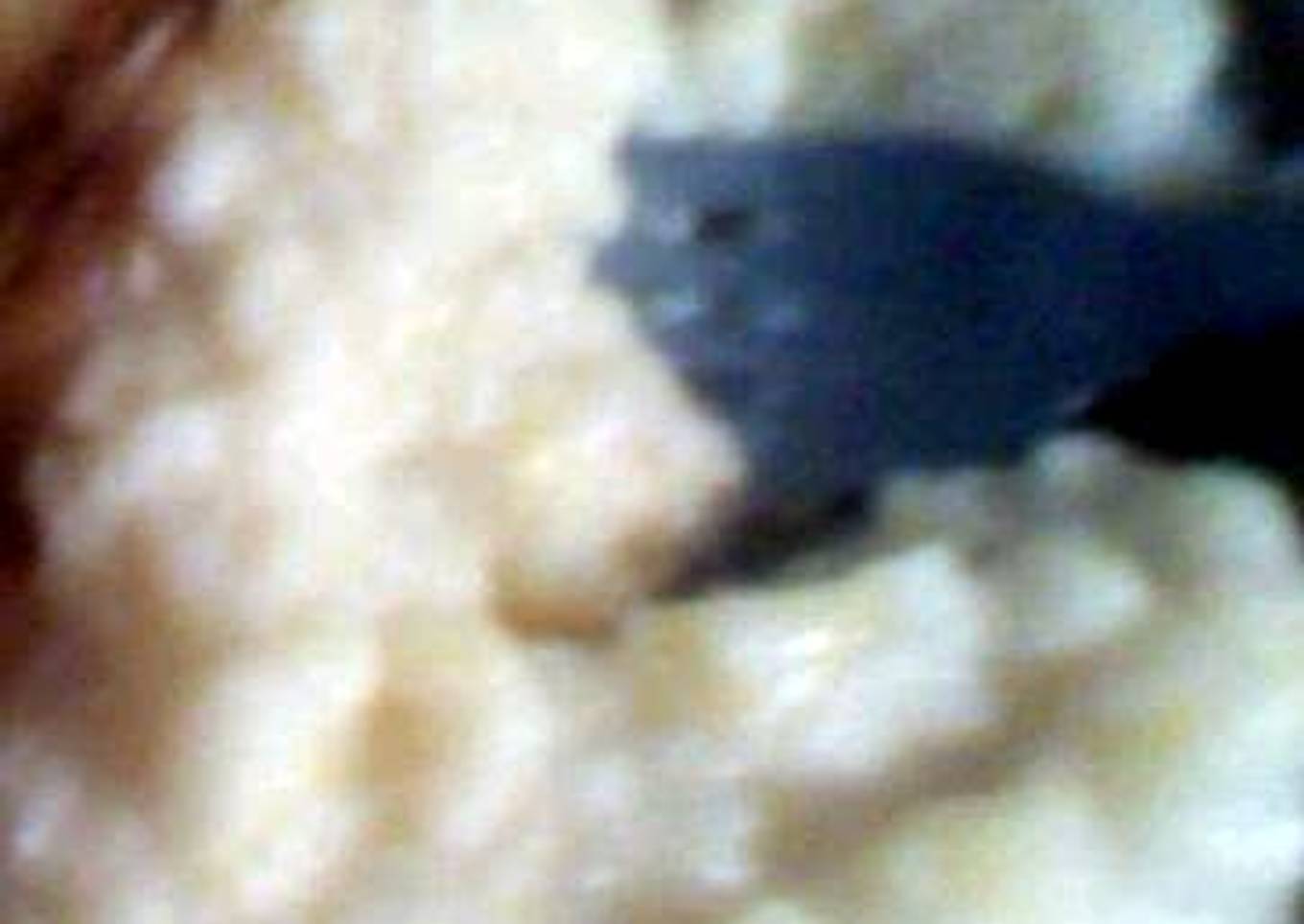 FRIED CORN