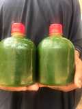 Moringa Juice