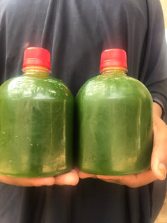 Moringa Juice ainihin hoton girkin