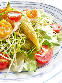 和風蔬食沙拉 的食譜成品照片