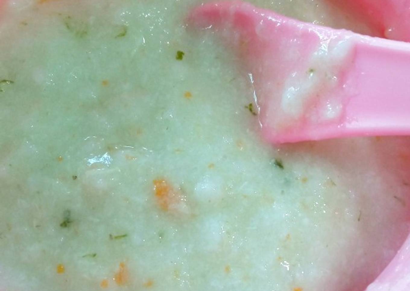 MPASI 6+ Bubur ayam wortel