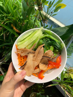Hình của món Miến trộn Hàn Quốc (Chay).