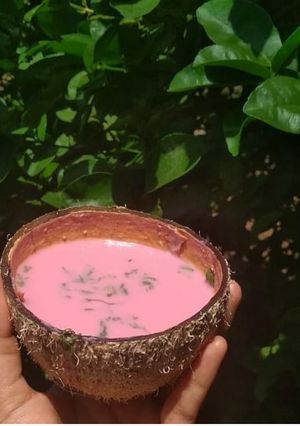 A picture of Solkadhi.