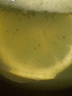 صورة لوصفة Lemonade 🍋 ليموناضة 🍋