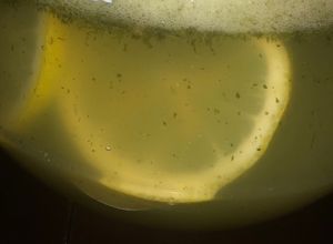 صورة لوصفة Lemonade 🍋 ليموناضة 🍋