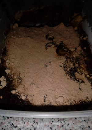 Foto principal de Tarta de galletas con café
