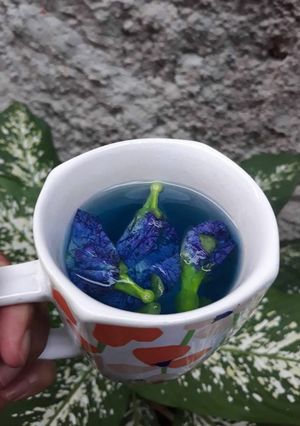 Foto resep Teh bunga telang