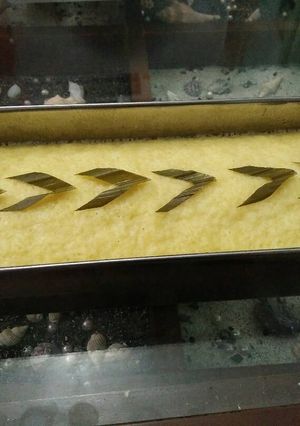 Foto resep Brownis singkong
