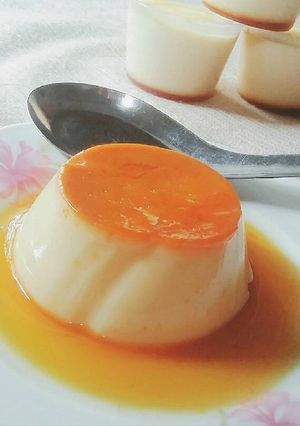 A picture of Flan.
