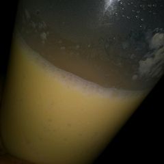 🎶Mango, Mango🎶 A picture of 🎶Mango, Mango🎶.