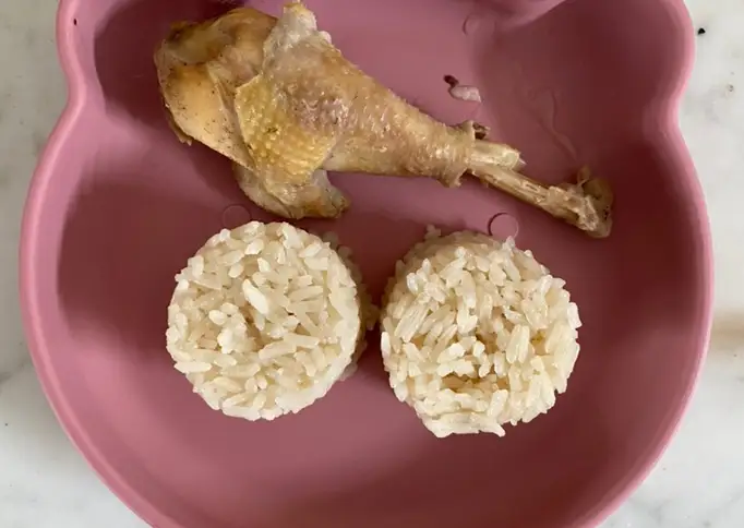 Nasi Ayam Hainan Mpasi