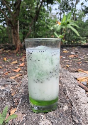 Foto resep Es sarang burung