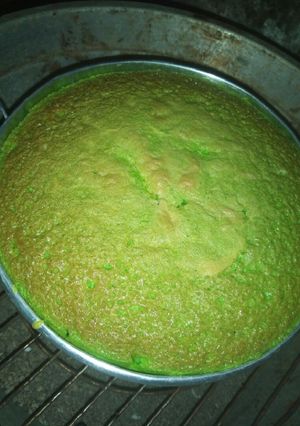 Foto resep Bolu pandan mudah dan irit