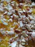 Mewa Pulao