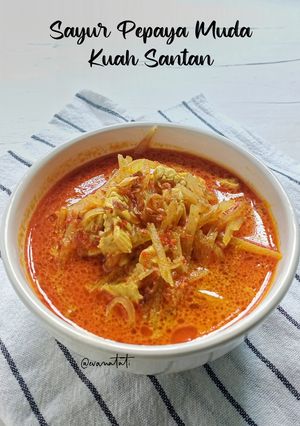 Foto resep Sayur Pepaya Muda Kuah Santan