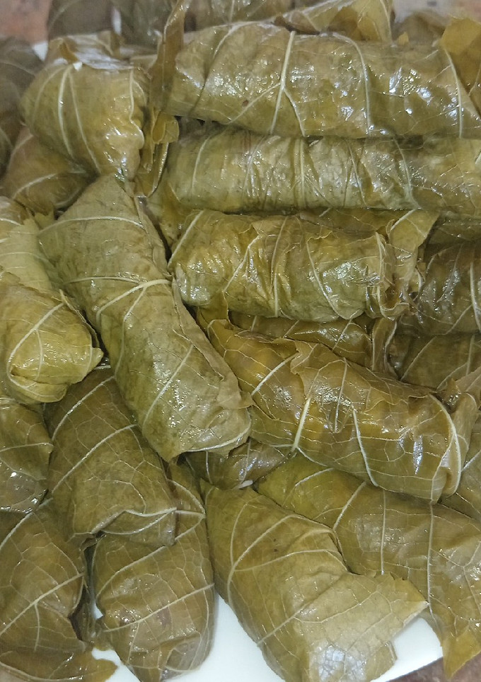 Una foto de Dolmas o hoja de parra rellena