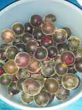 Mermelada de ketembilla o cranberry