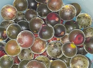 Una foto de Mermelada de ketembilla o cranberry