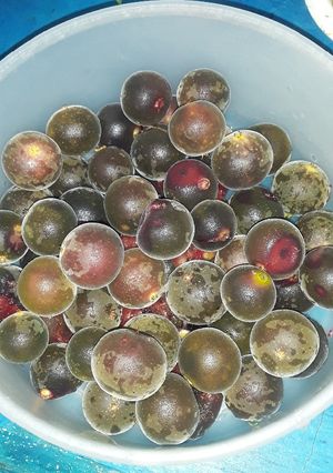 Una foto de Mermelada de ketembilla o cranberry