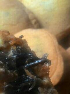 Foto resep Ote ote porong jilid 1😆 dan tips hasil cantiknya