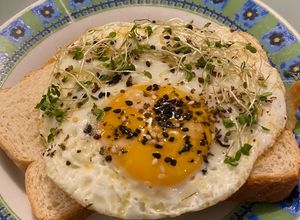 Una foto de Huevo frito con alfalfa y tostadas con queso. 🌻