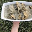Vitel tone vegano