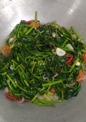 Foto resep Tumis Kangkung