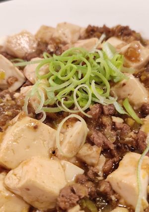 A picture of Mapo Tofu.