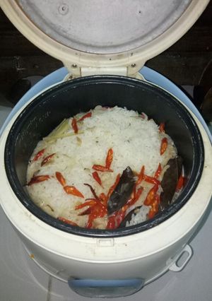 Foto resep Nasi liwet ala magic-com