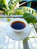 Kopi Tahlil Khas Pekalongan