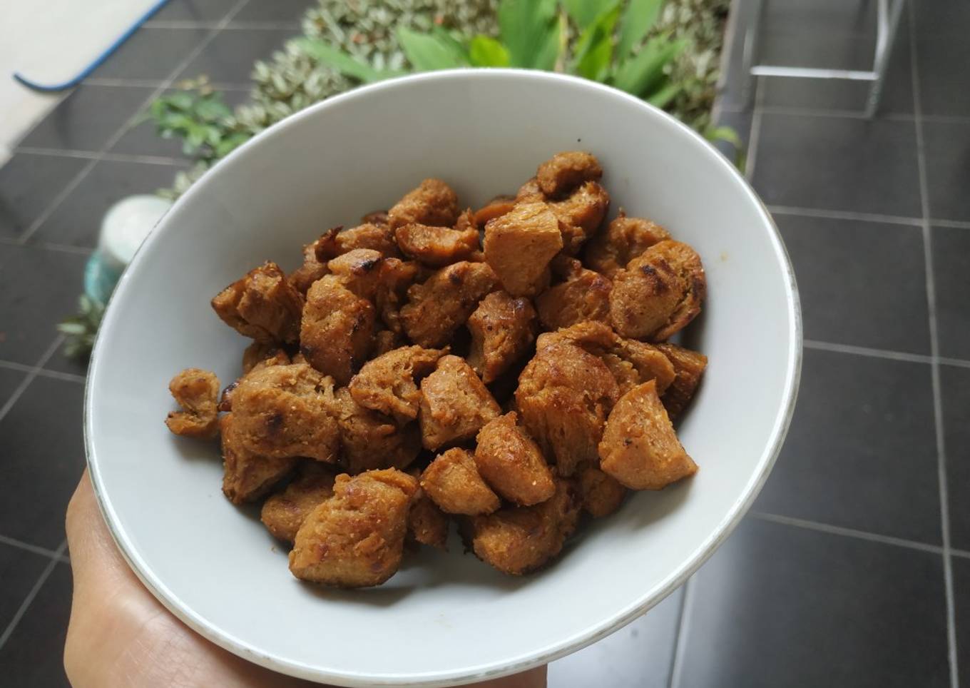Proteina Tumis Kering