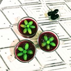 A picture of Fresh Pudding Cups.