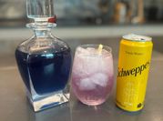 A picture of butterfly pea